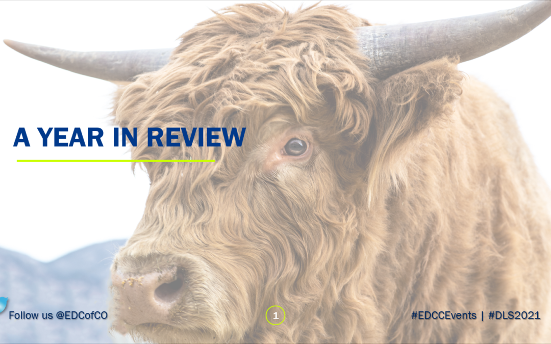 EDCC A Year in Review, Elected Board Appointments, and More