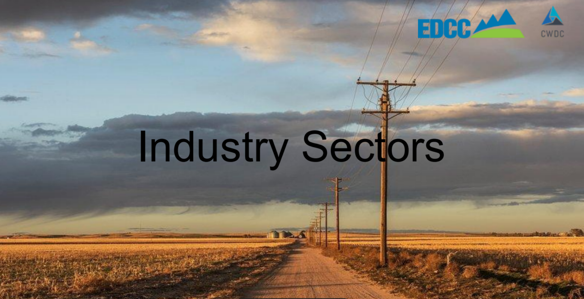 Industry Sector Partnerships